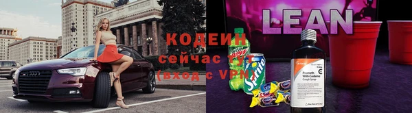 амф Пестово