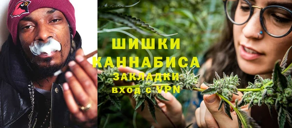 амф Пестово