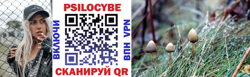 купить закладку  Сосновка  Галлюциногенные грибы Psilocybe 